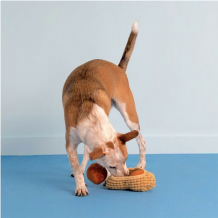 Chester's Nuts Plush Multi-Part & Enrichment Dog Toy