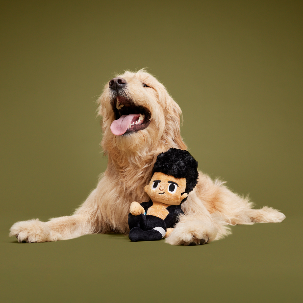 Life Finds A Play Plush Tug Dog Toy