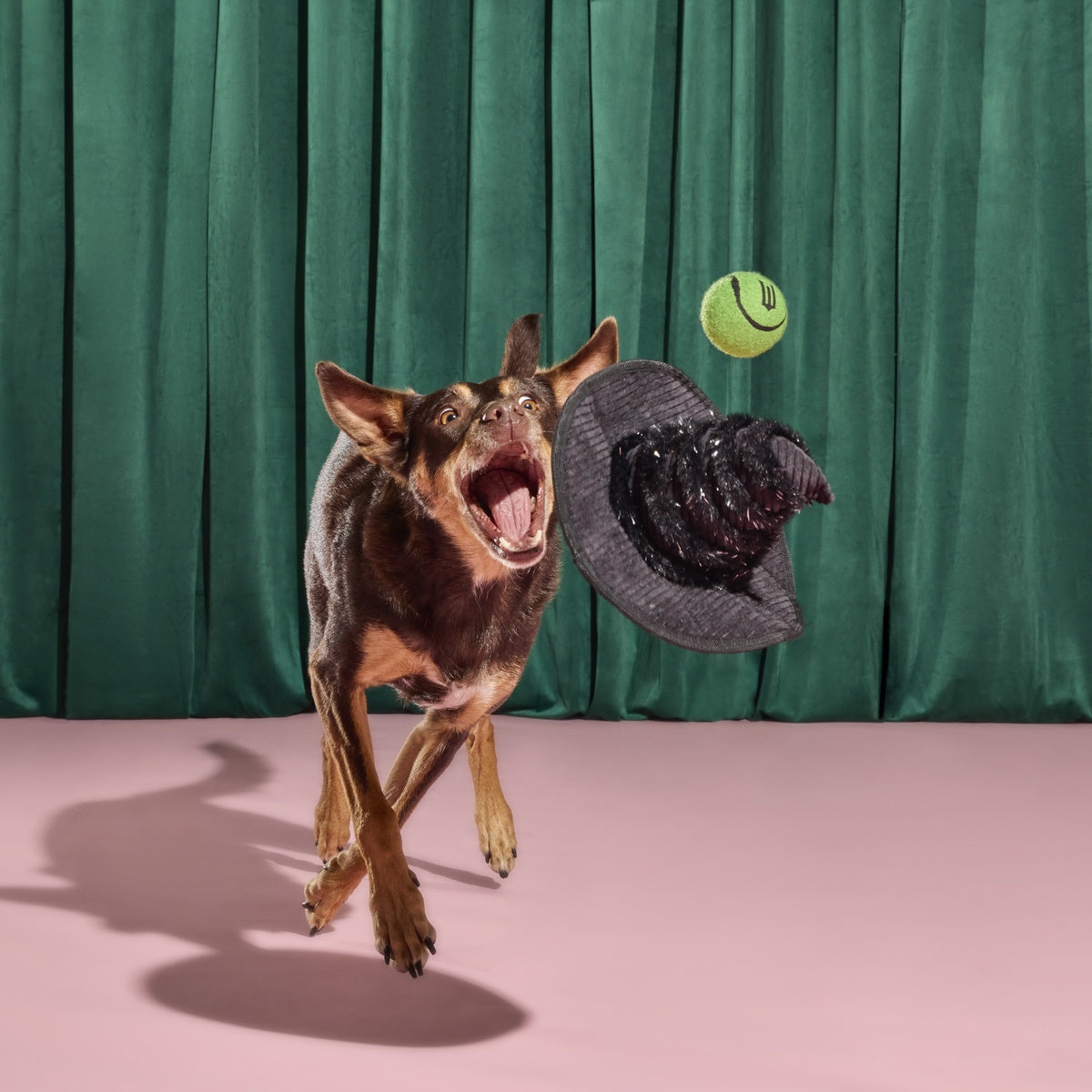 Elphaba's Ozdust Hat Plush 2-in-1 Rip and Reveal + Tennis Ball Fetch Dog Toy