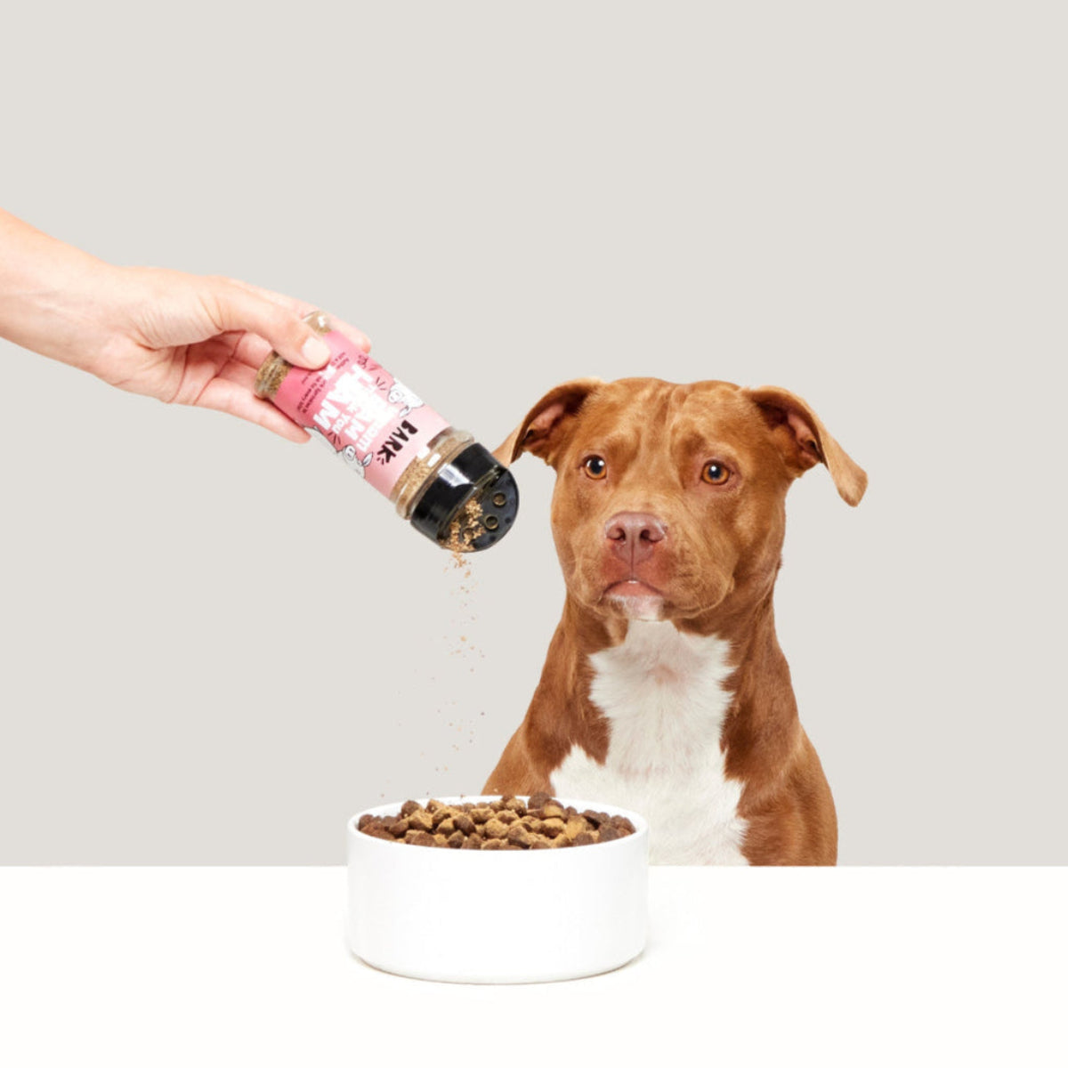 Wham Bam Thank You Ham Pork Dog Food Meal Topper, 4.6 oz