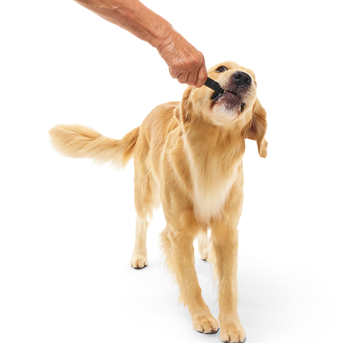 Beef Collagen Dog Chews, 5 Ct