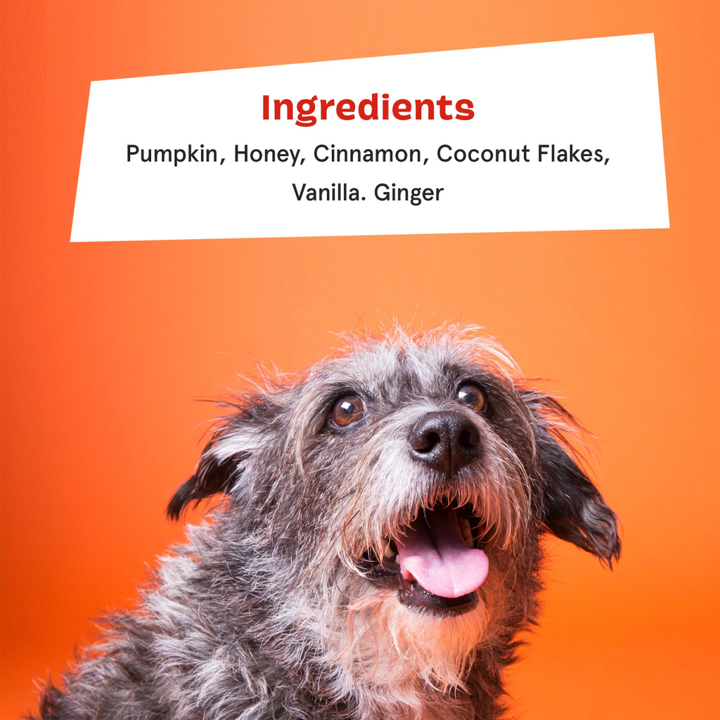 Pumpkin Spice, And Everything Nice Vegetarian Dog Food Meal Topper, 6.1 oz